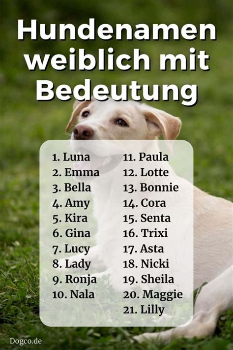 mädchennamen für hunde